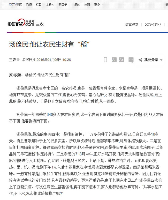 央视网1.jpg